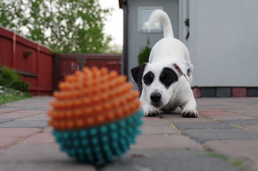 Photograph by Andrei Baburin