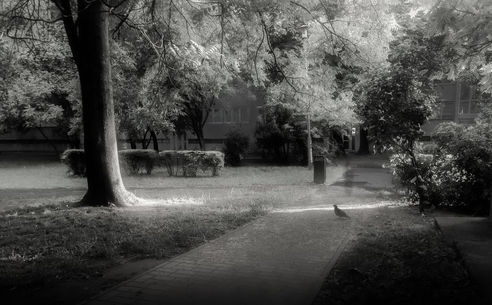 Фотография автора Nomin Jerabek