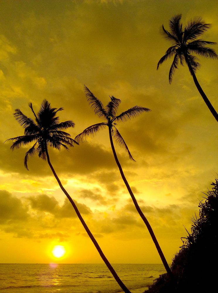 Фотография автора Laddu Sasindu Pramuditha De Silva