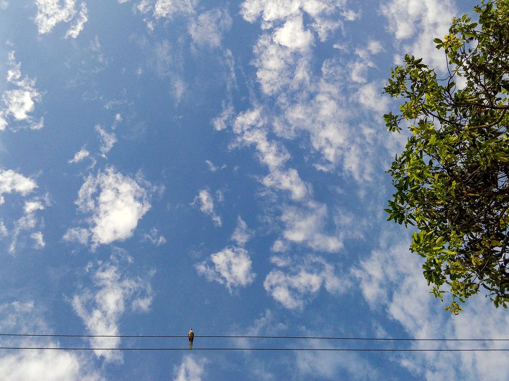 Фотография автора Laddu Sasindu Pramuditha De Silva