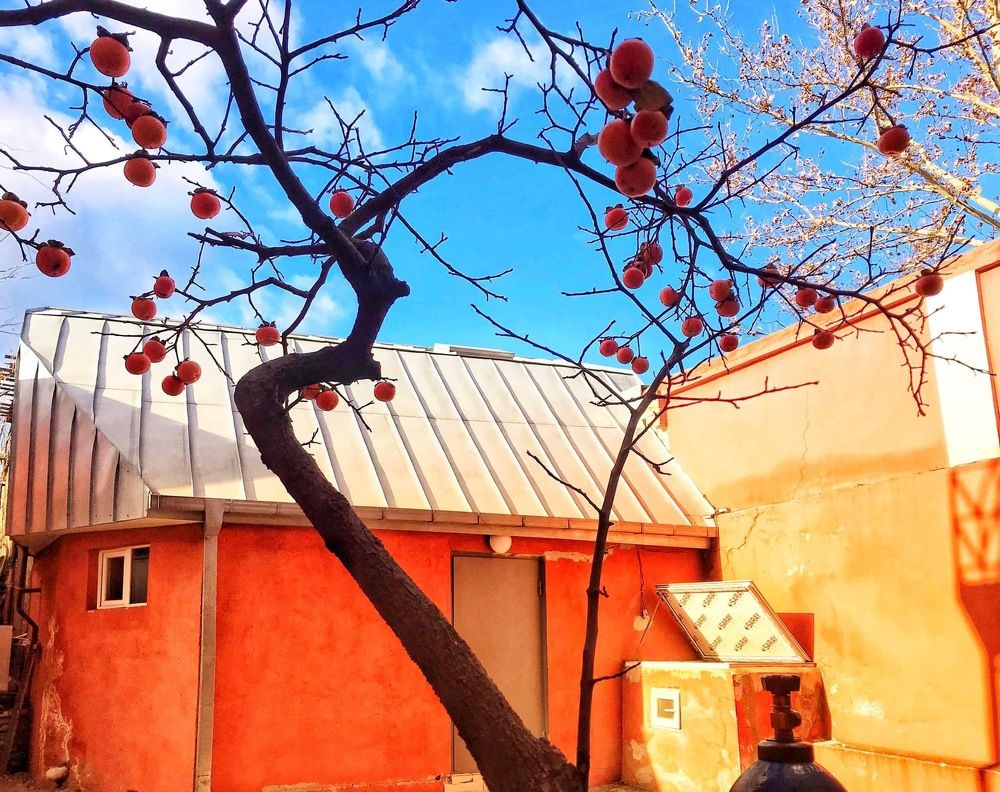 Photograph by Nunu Gambashidze