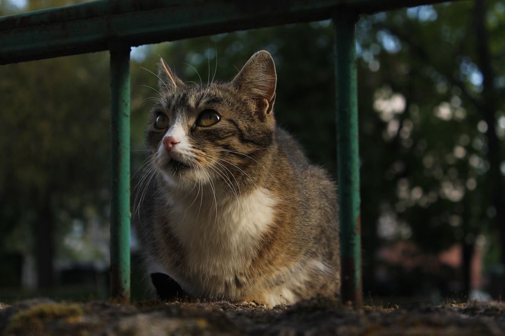 Photograph by Маргарита Савченко