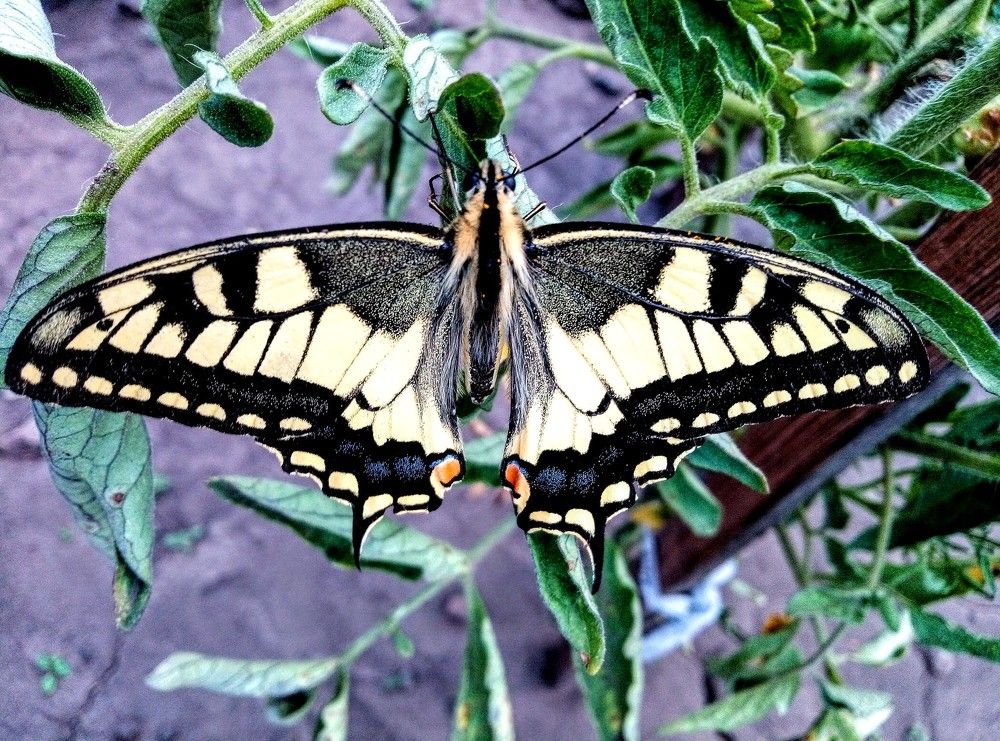 Photograph by Федоренко Элеонора