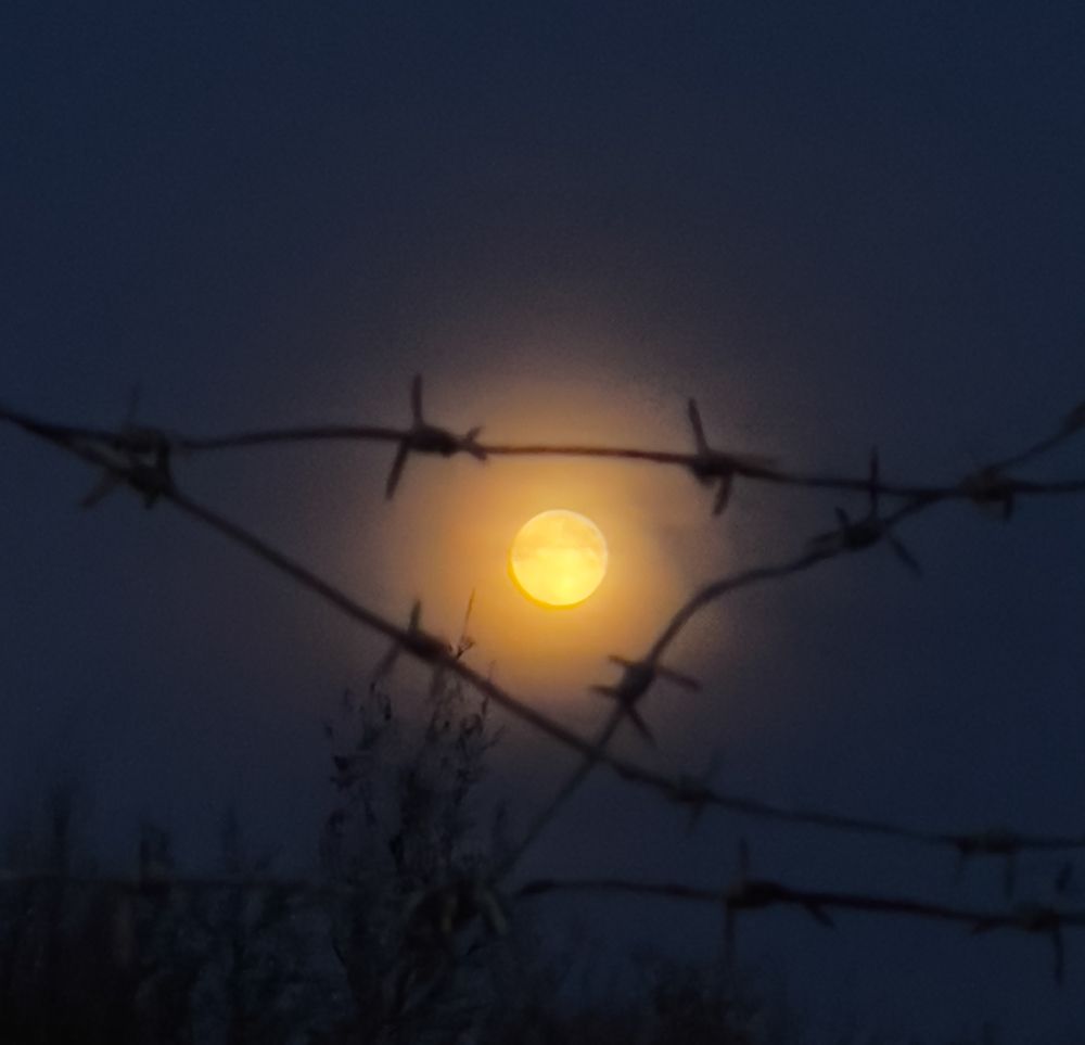 Photograph by Елена Красильникова