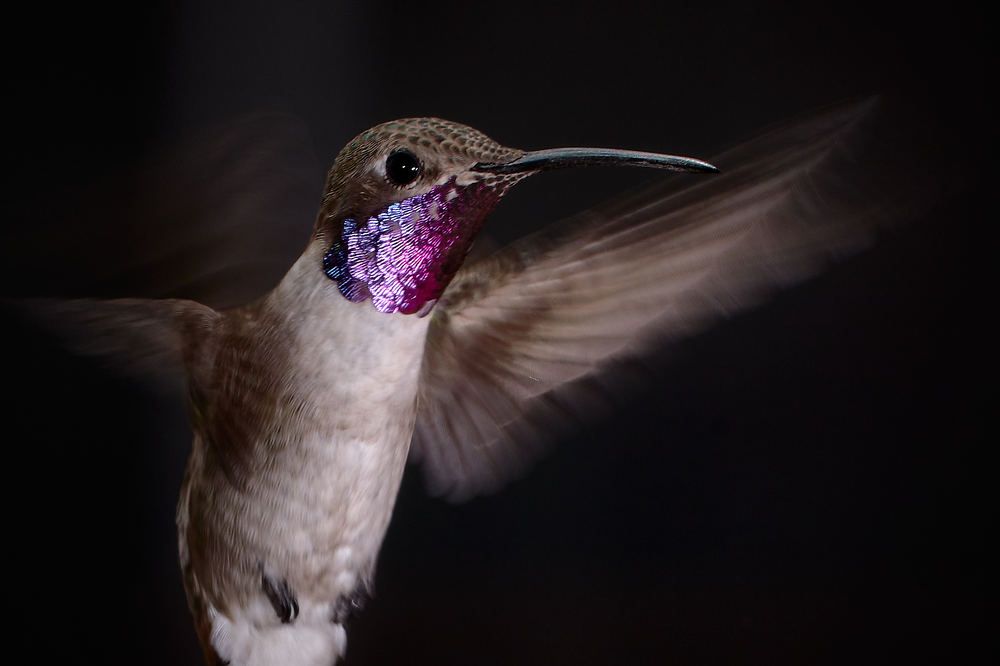 Photograph by Ivan Cortes