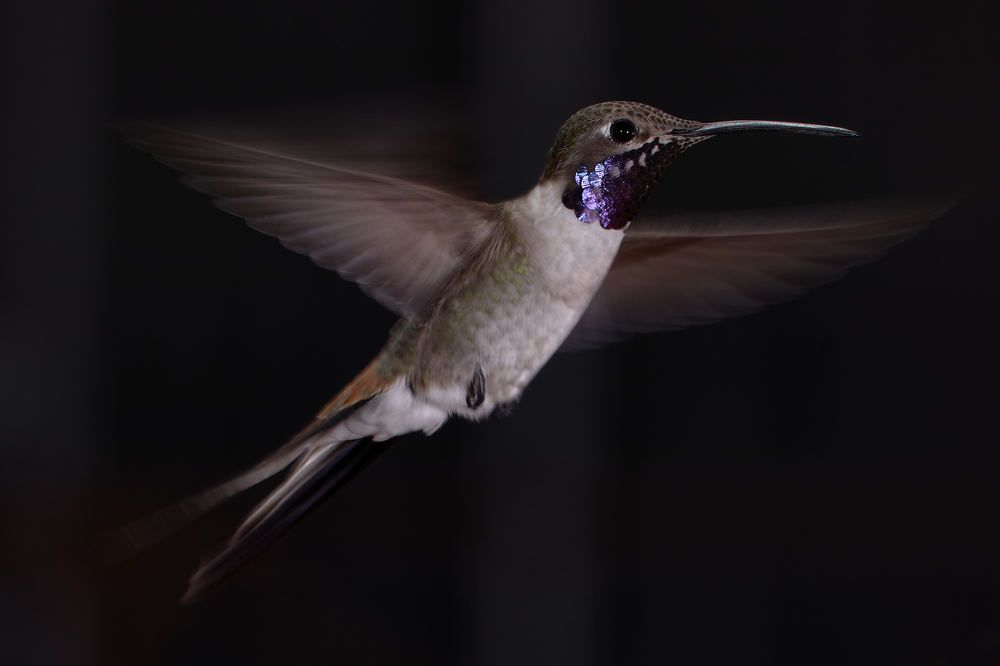 Photograph by Ivan Cortes