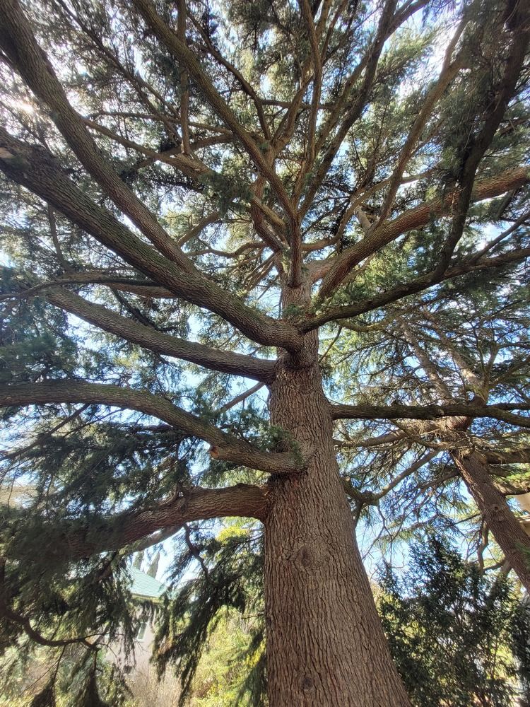 Photograph by Татьяна Москаленко