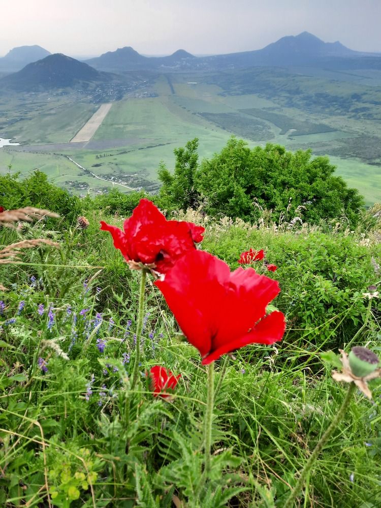 Photograph by Елена