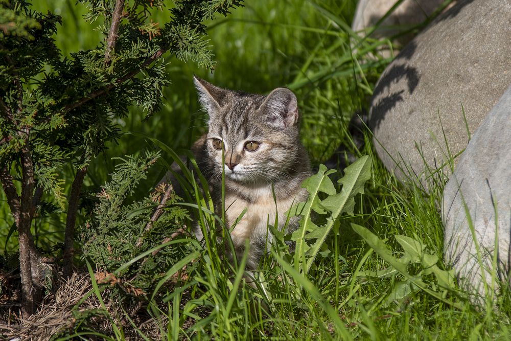 Photograph by Денис Сидоров