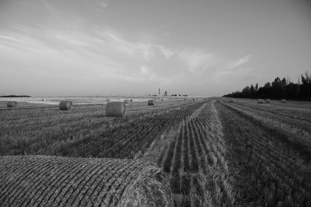 Photograph by Леонид Соснин