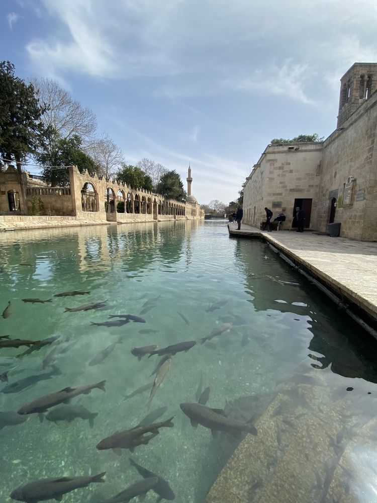 Photograph by Esin Sağır