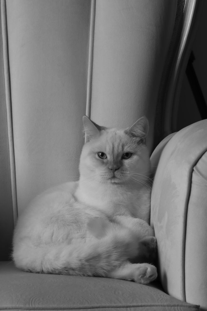 Photograph by Rasoul