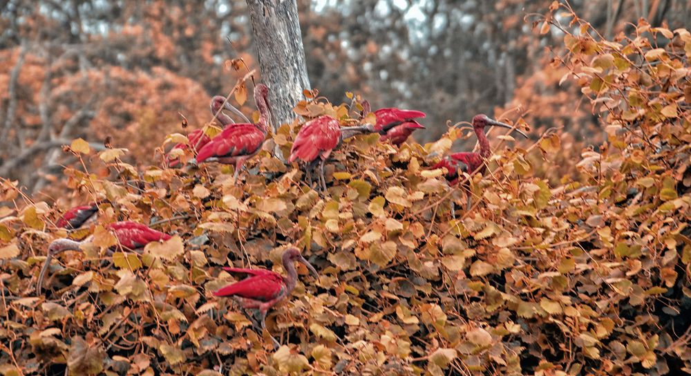 Photograph by Лев Левинсон