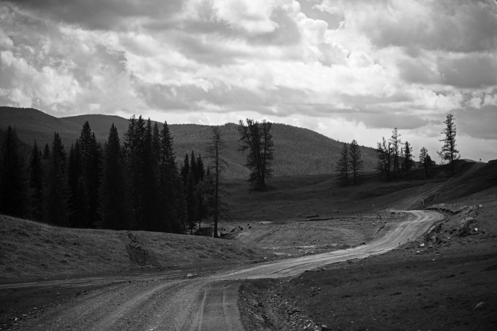 Photograph by Анна Воронова