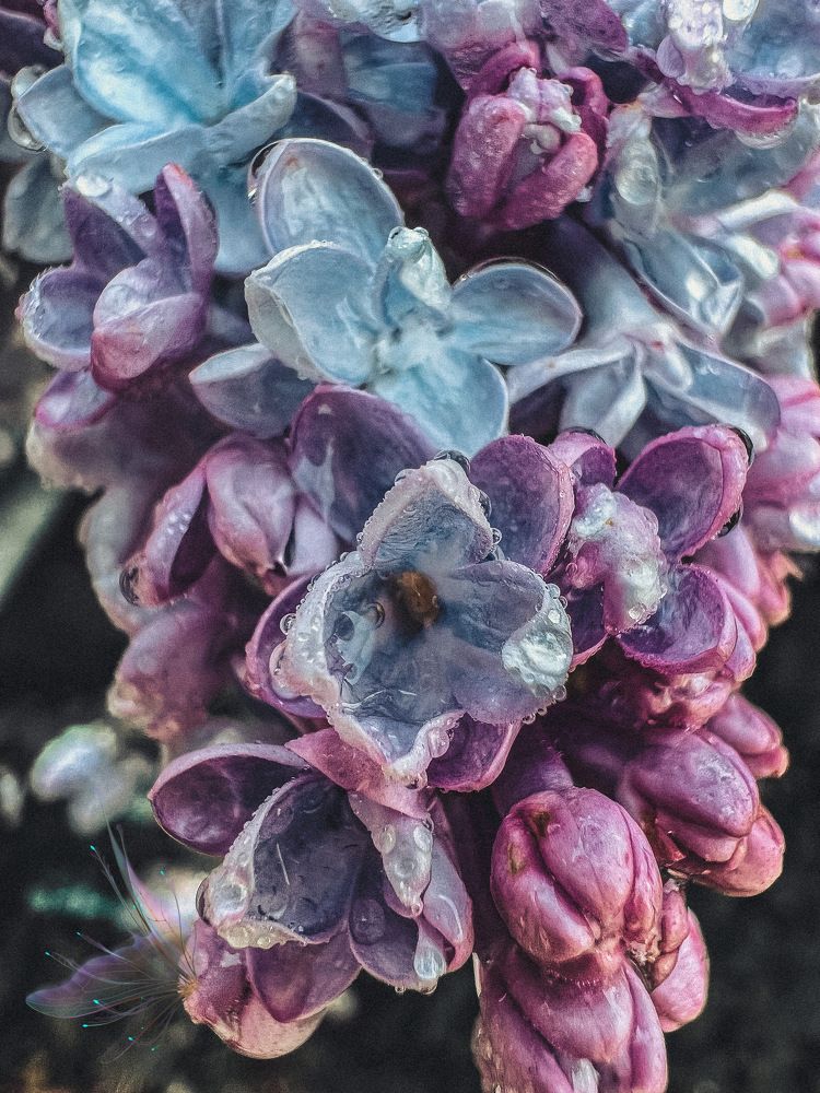 Photograph by Вера Рудик