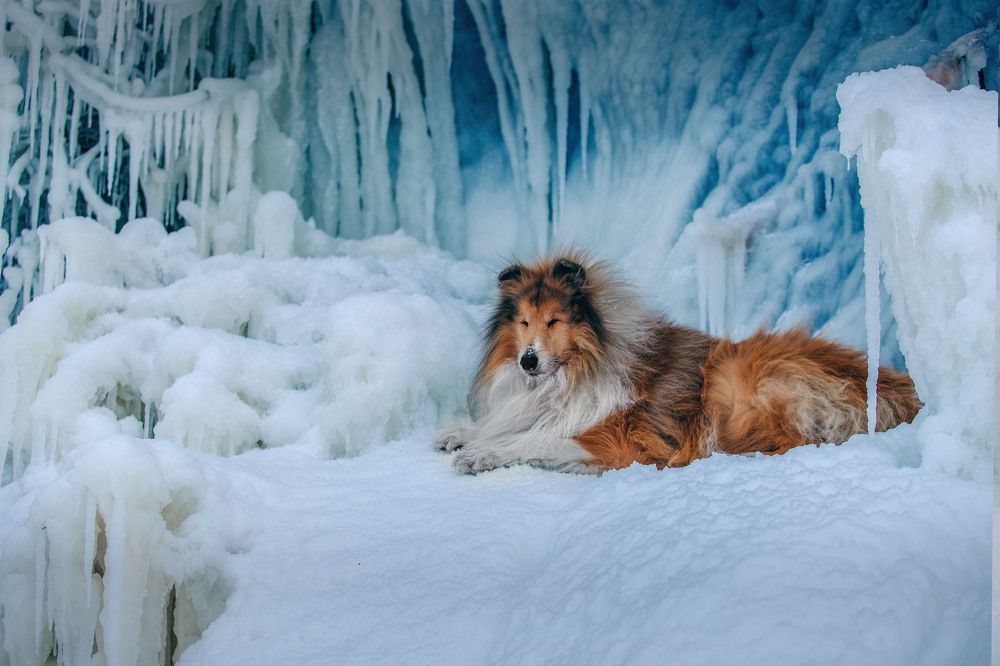 Photograph by СВЕТЛАНА ГРАЧЕВА