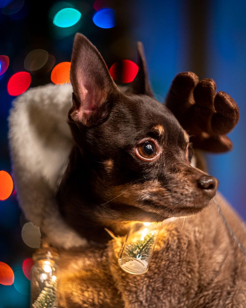 Photograph by Михаил Магазеев