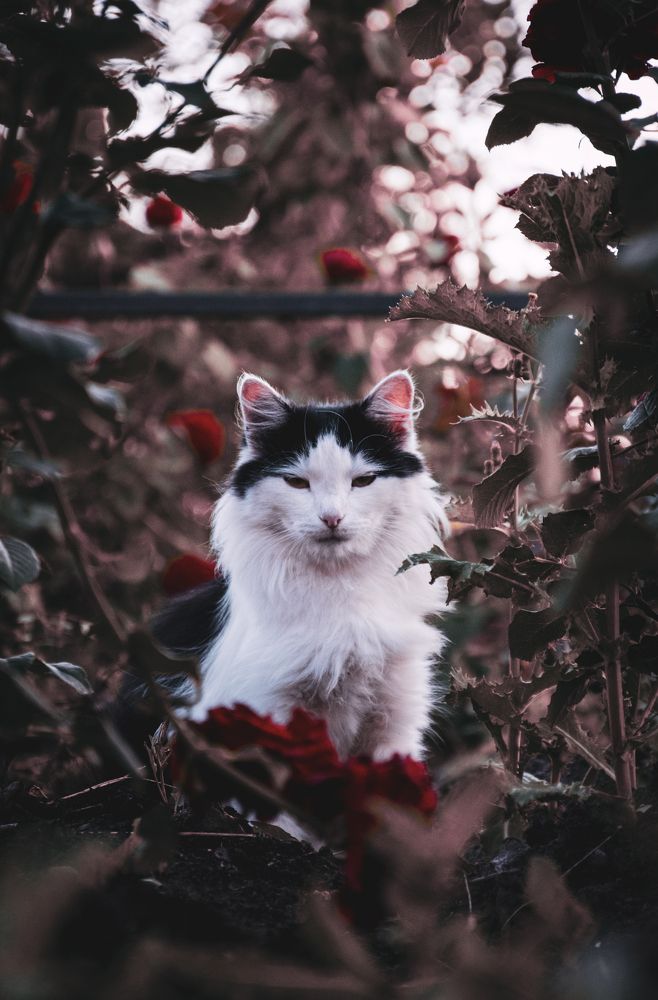 Photograph by Михаил Магазеев