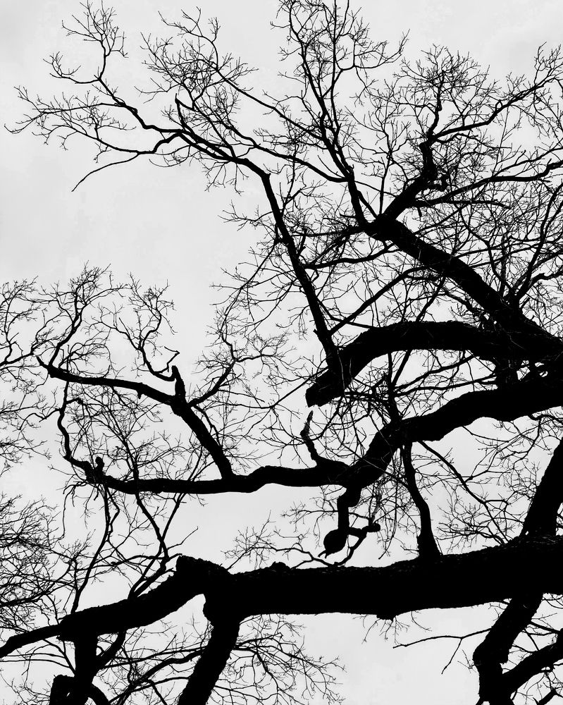 Photograph by Дарья Мицкевич