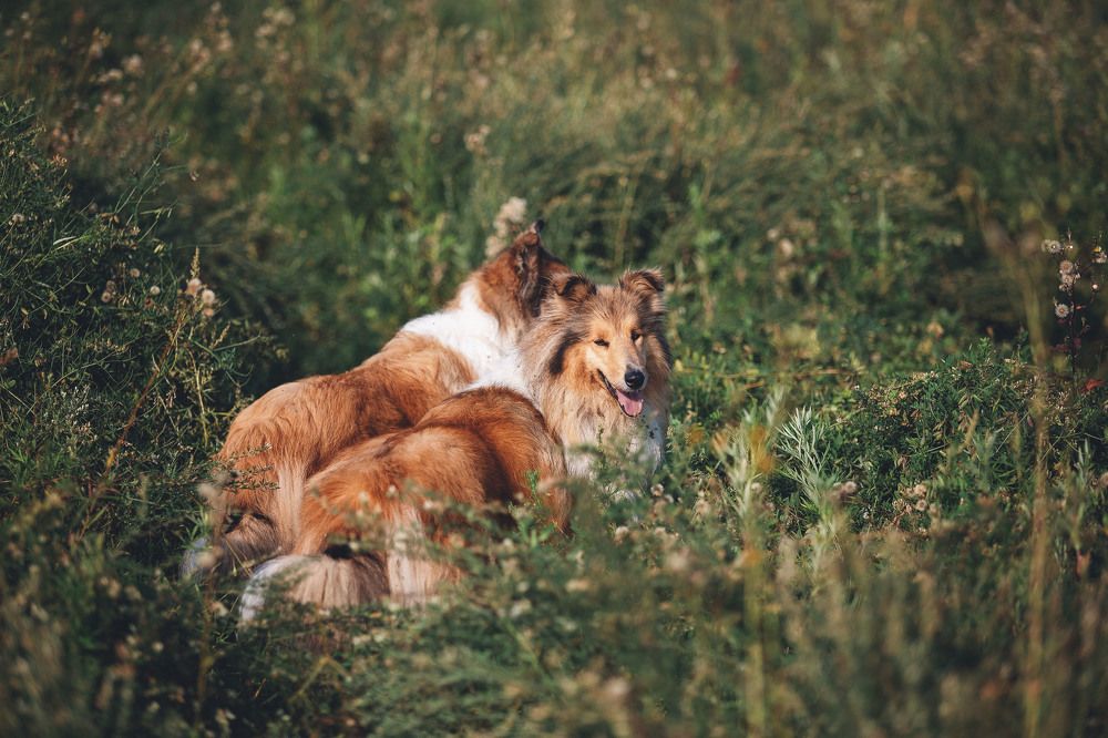 Photograph by СВЕТЛАНА ГРАЧЕВА