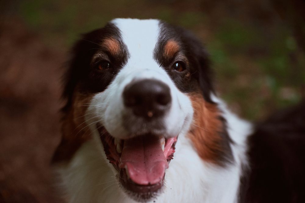 Photograph by Дарья Мицкевич