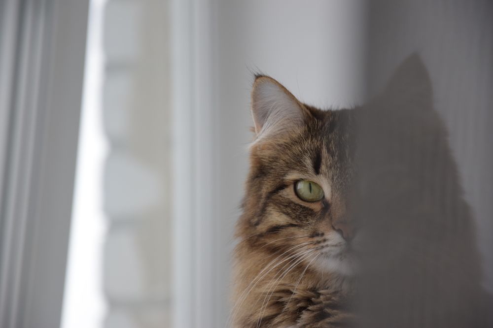 Photograph by Михаил Магазеев