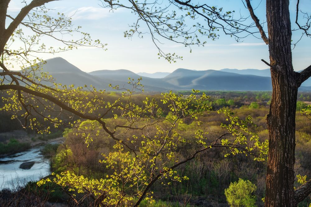 Photograph by Константин Костин