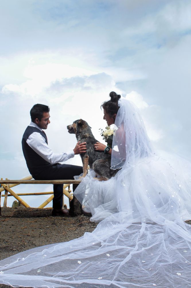 Photograph by Luis Par