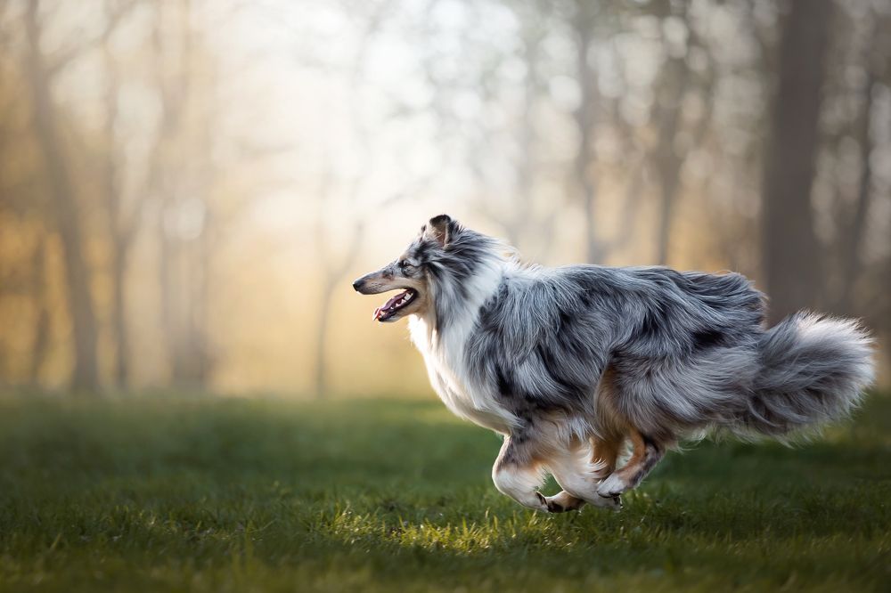 Photograph by Екатерина Киреева