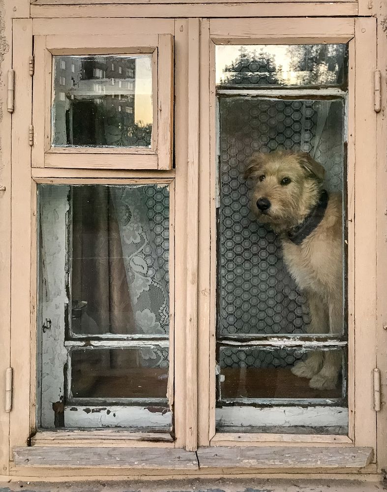 Photograph by Алексей Епишкин