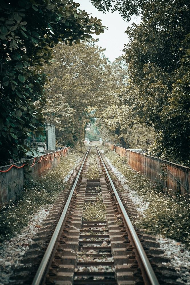 Photograph by Duc Anh Nguyen Hai