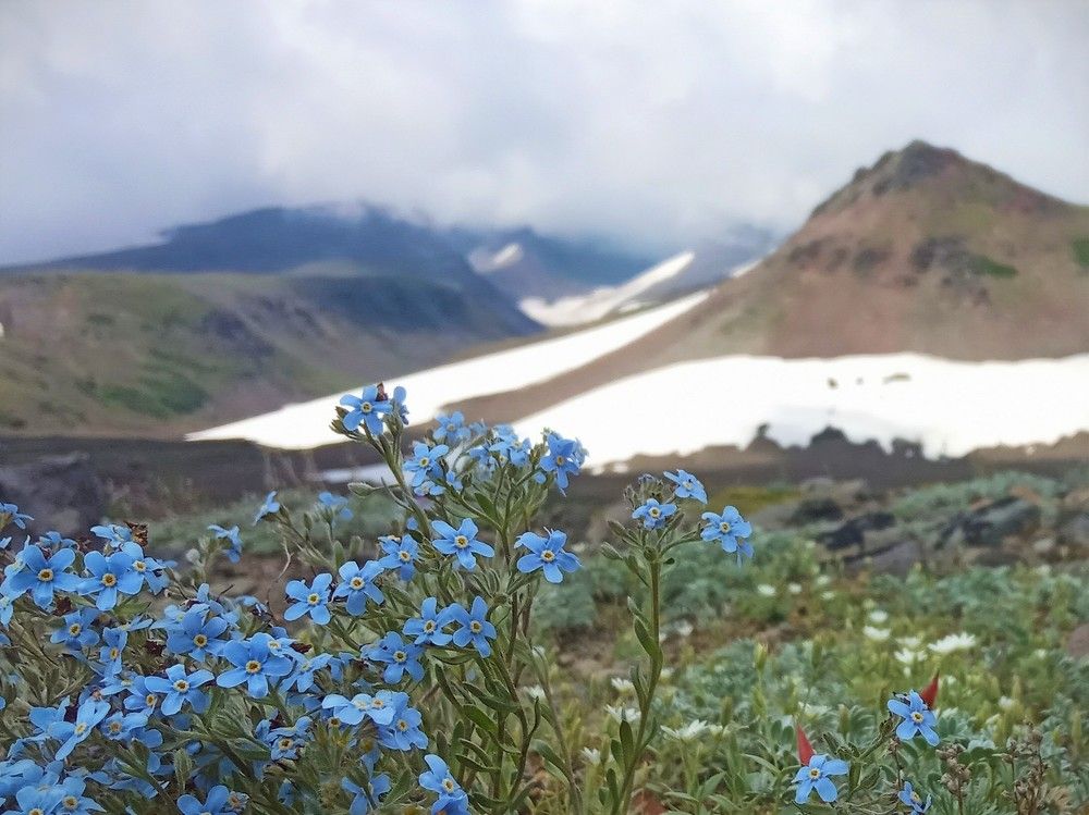 Фотография автора Рохмистрова Мария