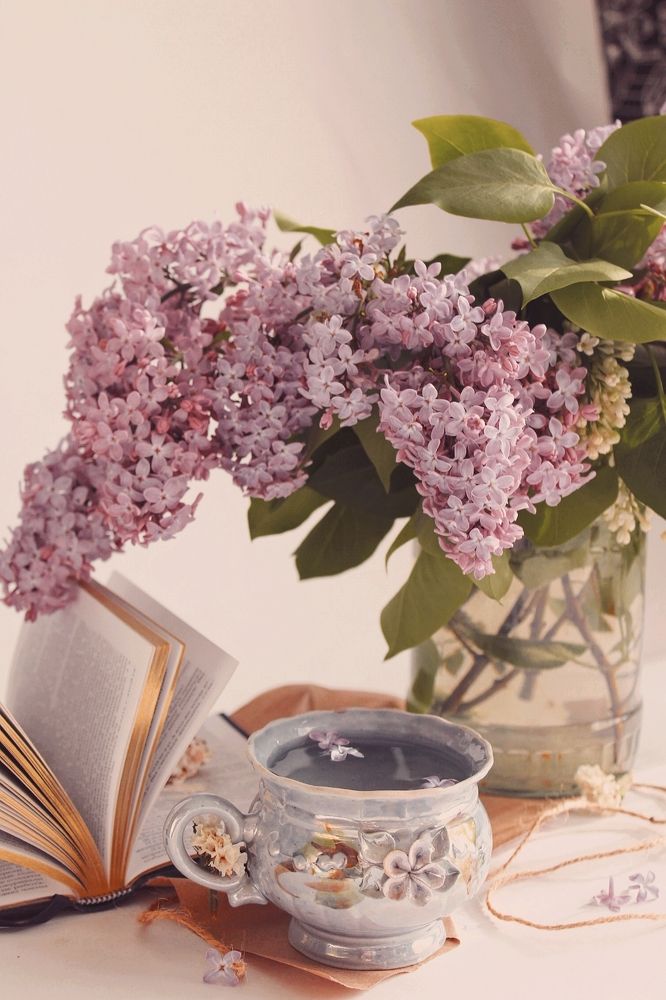 Photograph by Елизавета Силова