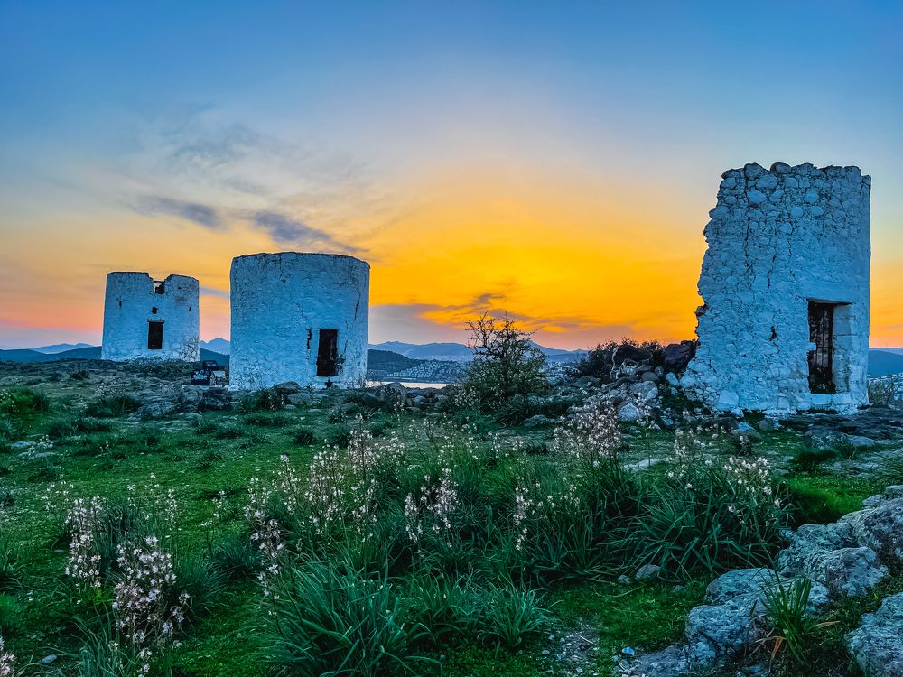 Photograph by Hasan Mahmud Shimul