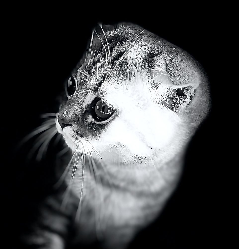 Photograph by Константин