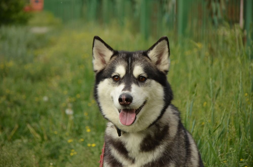 Photograph by Валентин Волк