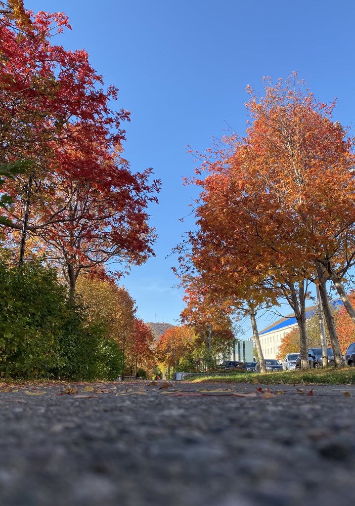 Photograph by Валентина Корякина