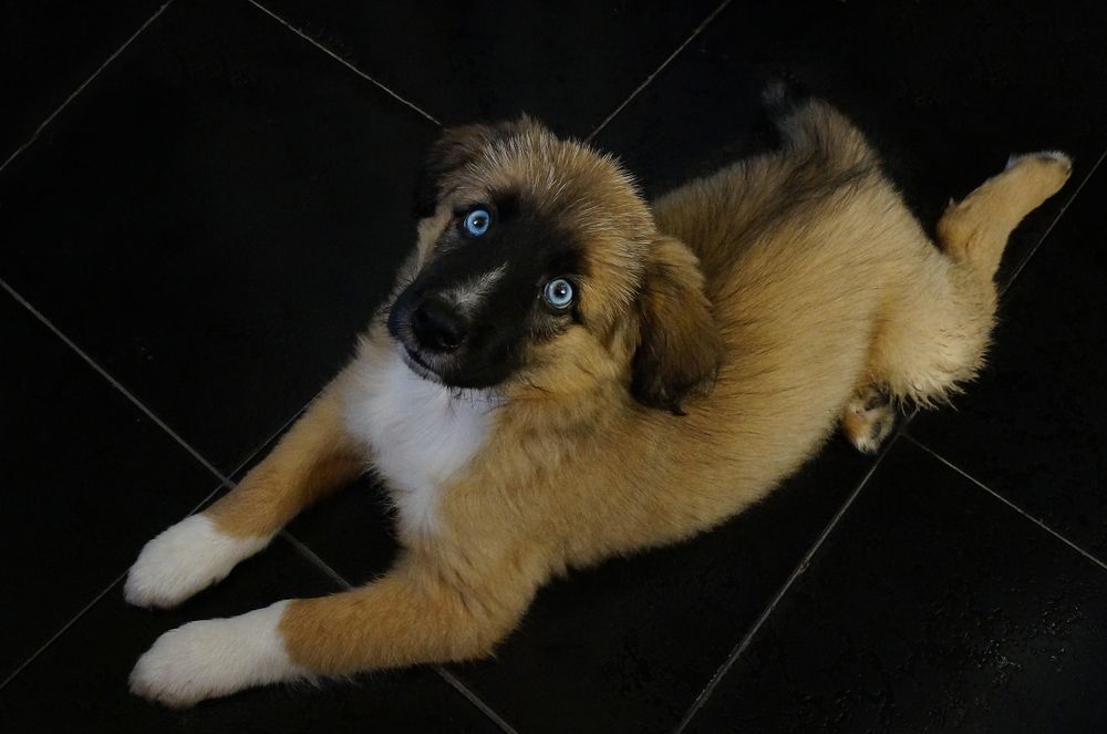 Фотография автора Doralisa Romero