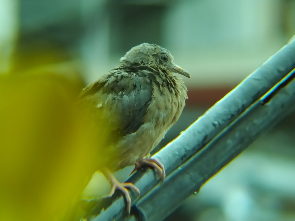 Photograph by William Osorio