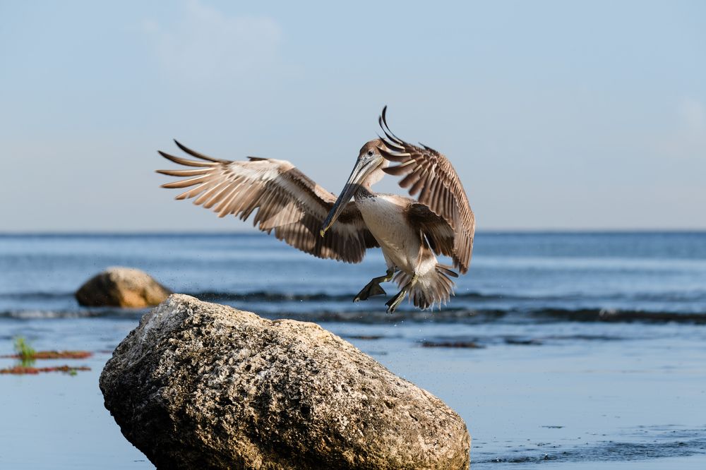 Photograph by Abel Cancino Gutierrez