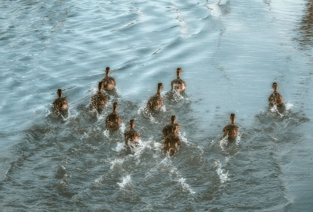 Photograph by Юлия Лушникова