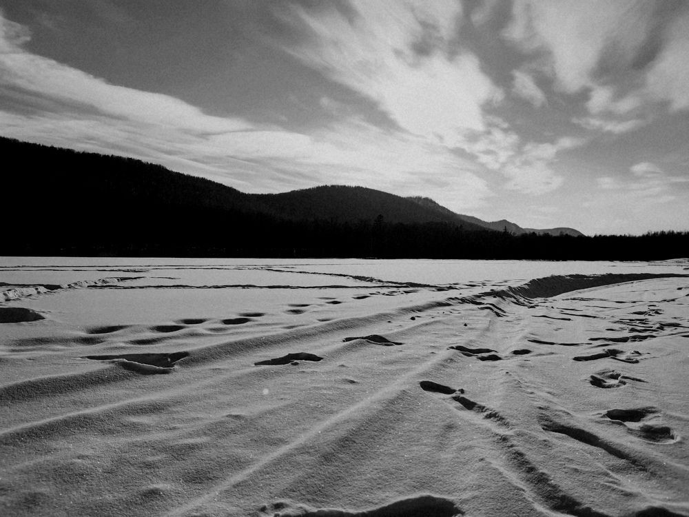 Photograph by 