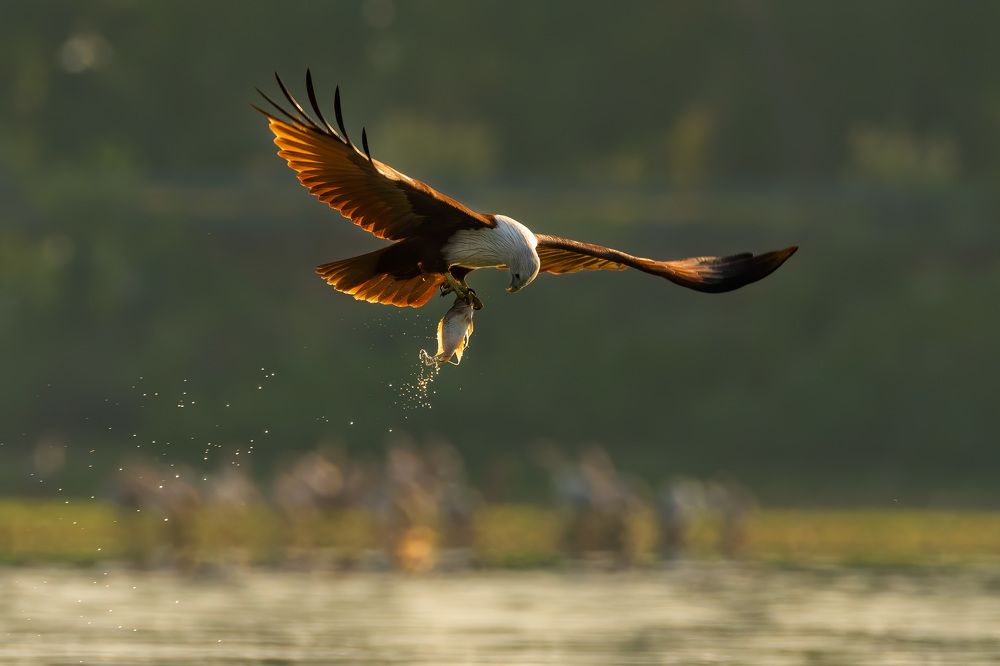 Photograph by YEDU KRISHNAN K B