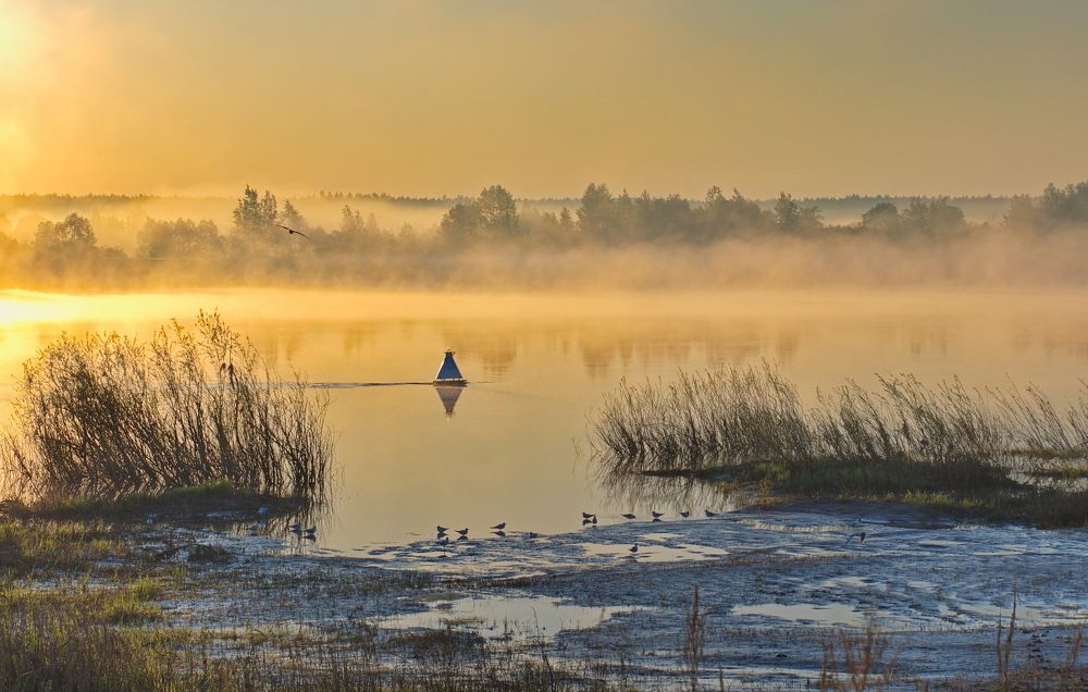 Photograph by Василий Быстрицкий