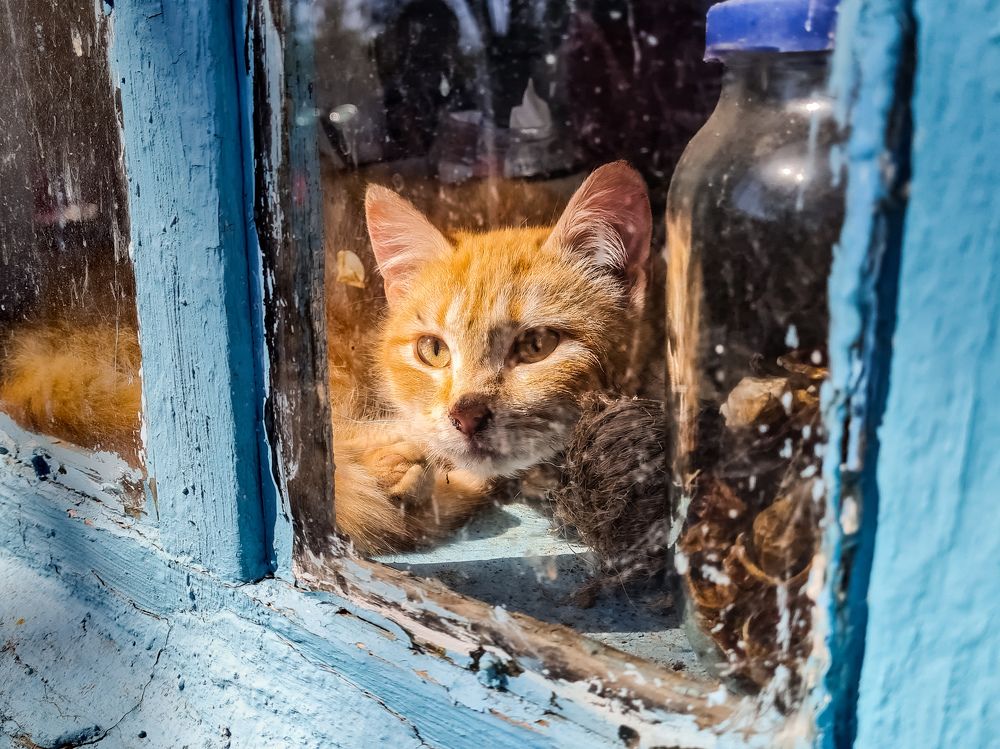 Photograph by Лариса Когтева