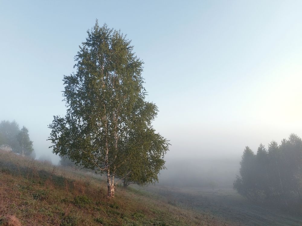 Photograph by Юрий Гау