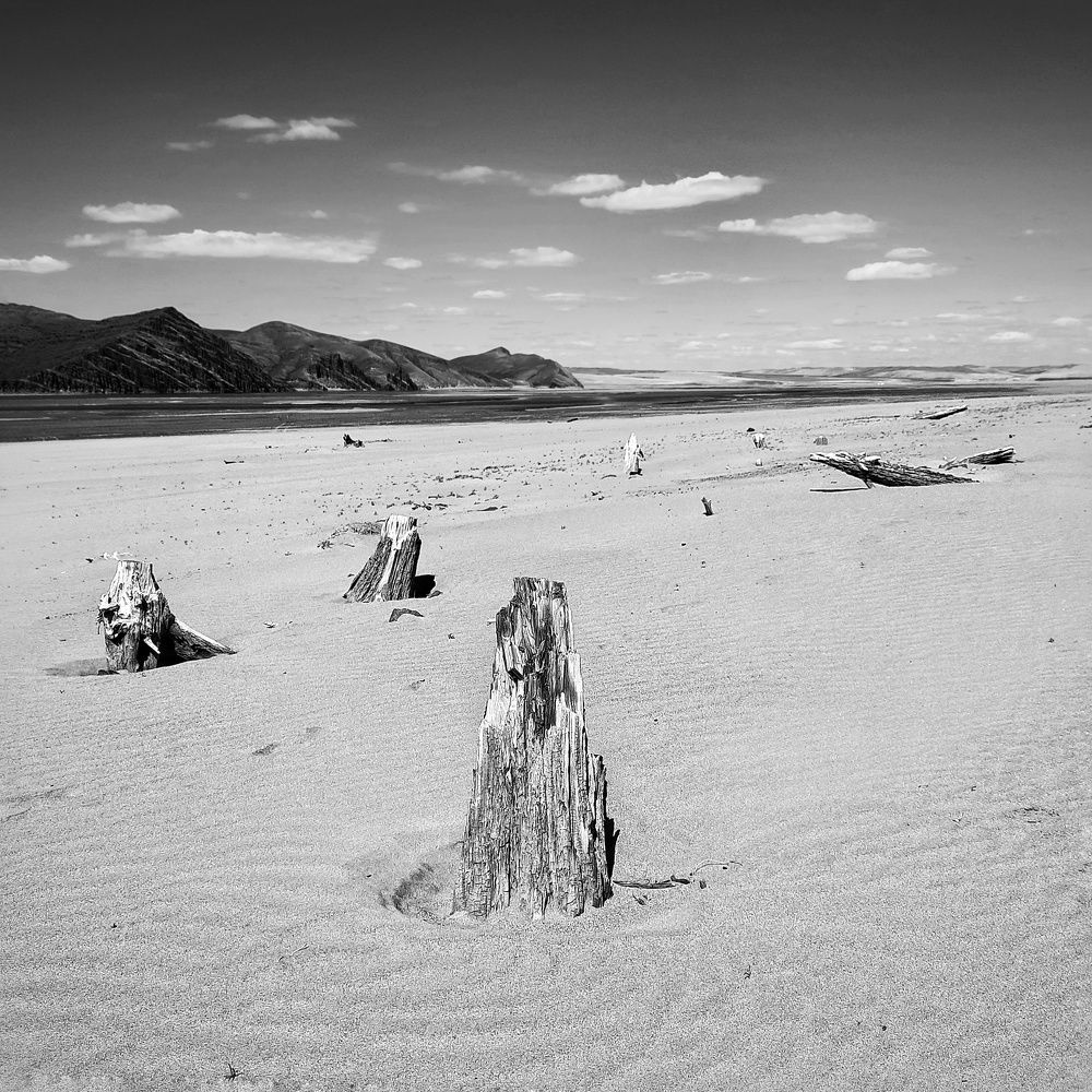 Photograph by Елена Леоненко