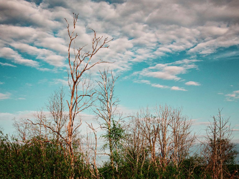 Photograph by Константин Терёхин