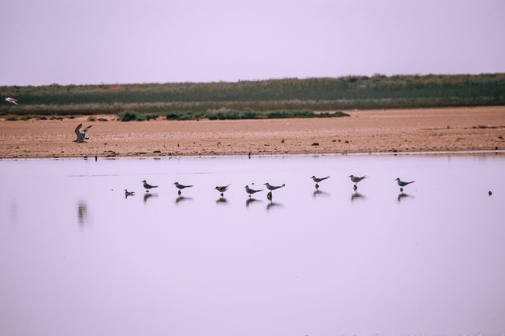 Фотография автора OXANA MARSOVA