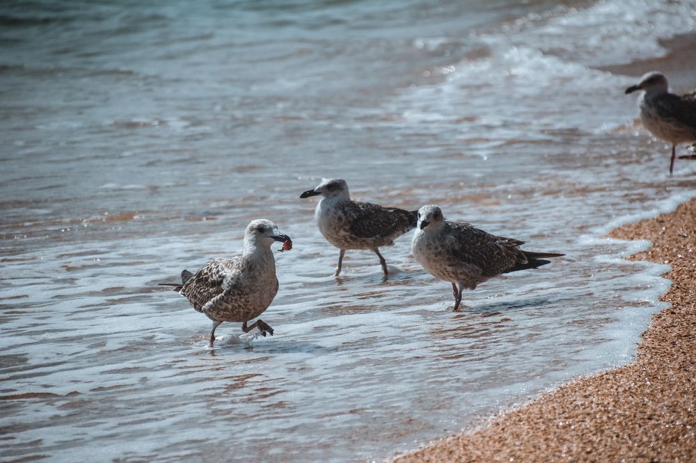 Фотография автора OXANA MARSOVA